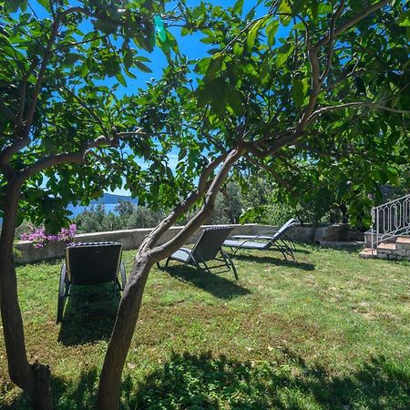 Apartment Mario - Veliki Stan Za Odmor - Terasa- Vrt - Bazen - Pogled More, Izoliran Orašac Zewnętrze zdjęcie