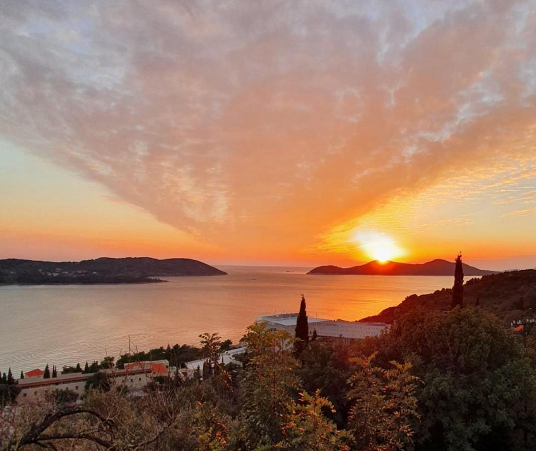 Apartment Mario - Veliki Stan Za Odmor - Terasa- Vrt - Bazen - Pogled More, Izoliran Orašac Zewnętrze zdjęcie